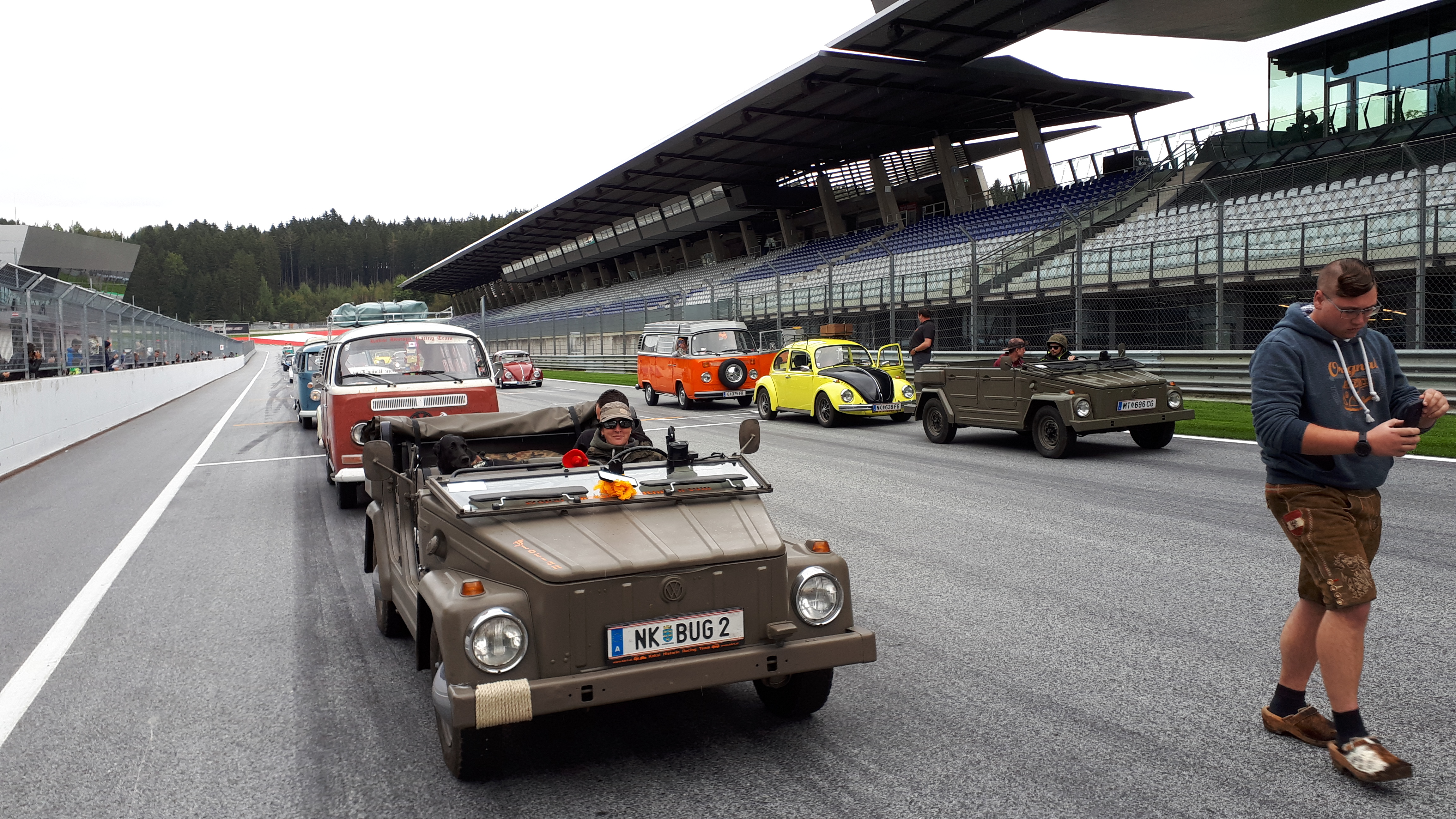 VW 181-d.jpg